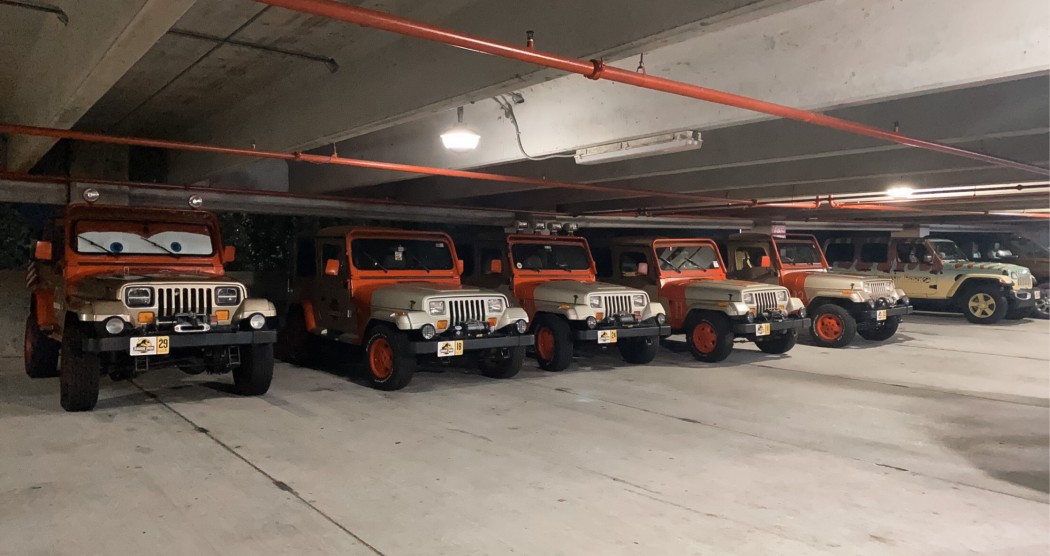 IMG_8276.JPG (662.56 KiB) Viewed 182351 times They Do Move In Herds